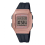 RELOJ CASIO F-201WAM-5AVEF