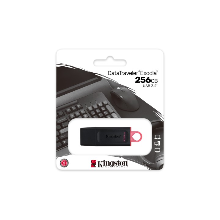 Pendrive Kingston Exodia 256Gb USB-A Negro (DTX/256GB)