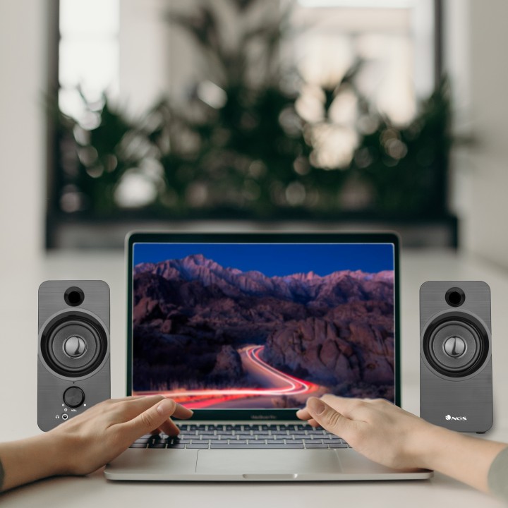 Altavoces Gaming NGS Multimedia 2.0 6W Negro (SB350)