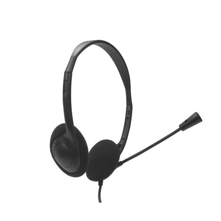 Auric+Micro NILOX USB-A Negros (NXAU0000002)