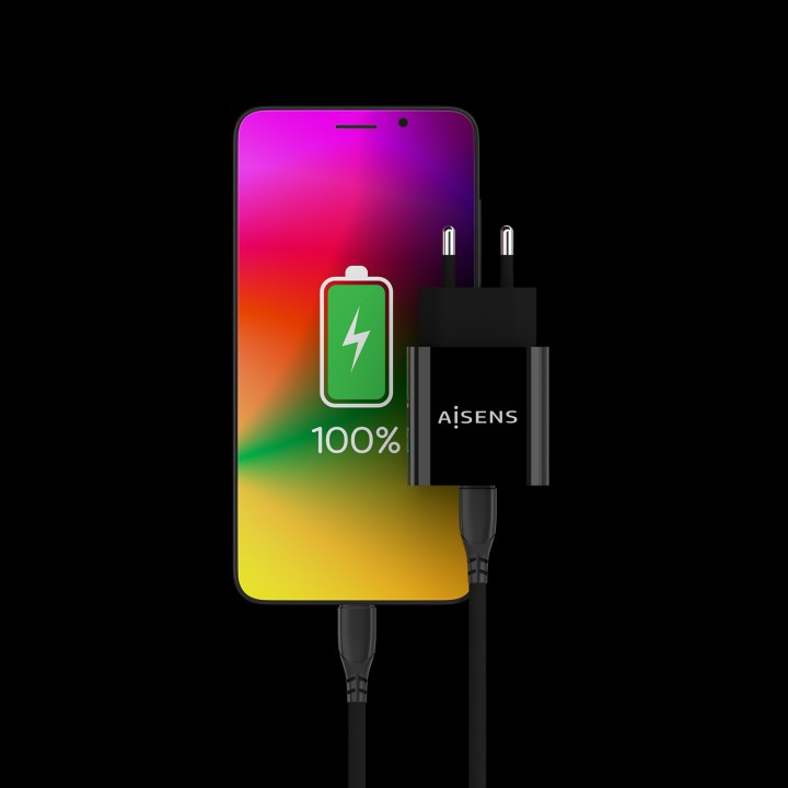 Cargador de Pared AISENS 20W 1xUSB-C Negro (A110-0538)