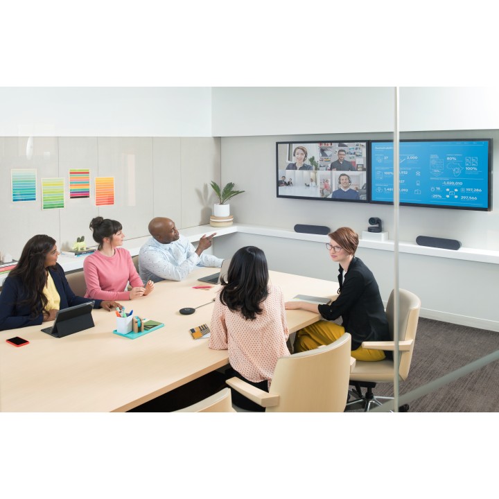 Altavoz LOGITECH para Conference Rally (960-001230)