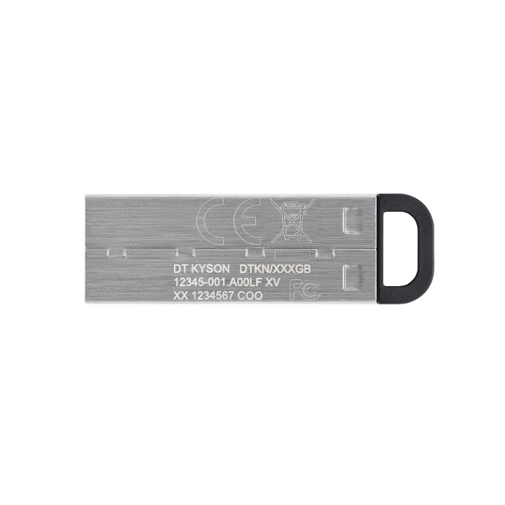Pendrive Kingston 256Gb USB-A 3.0 Plata (DTKN/256GB)