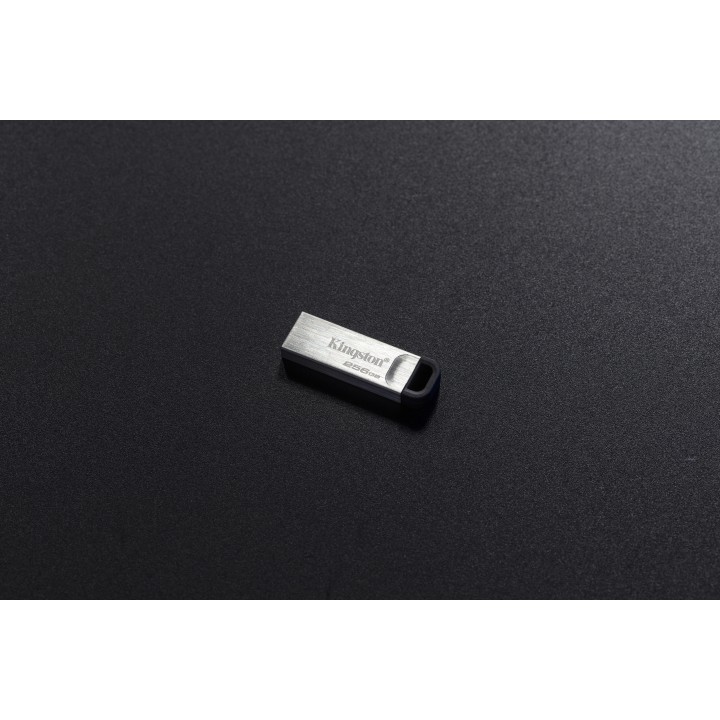 Pendrive Kingston 256Gb USB-A 3.0 Plata (DTKN/256GB)