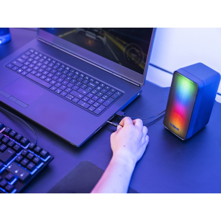 Altavoces Trust GXT611 Wezz 2.0 RGB 3.5mm Negro (24587)