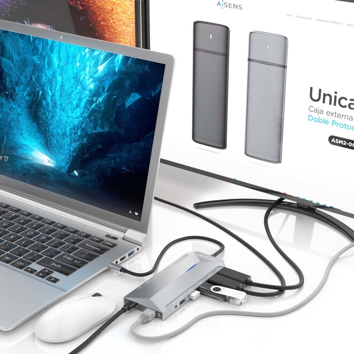 Dock Station AISENS 12en1 30cm Gris (ASUC-12P005-GR)