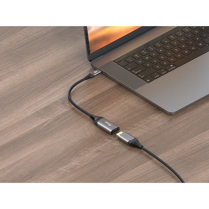 Cable EQUIP USB-C/M a DP/H Negro/Gris (EQ133493)