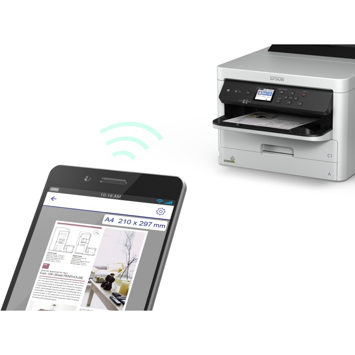 Tinta Epson XXL Negro (C13T01D100)