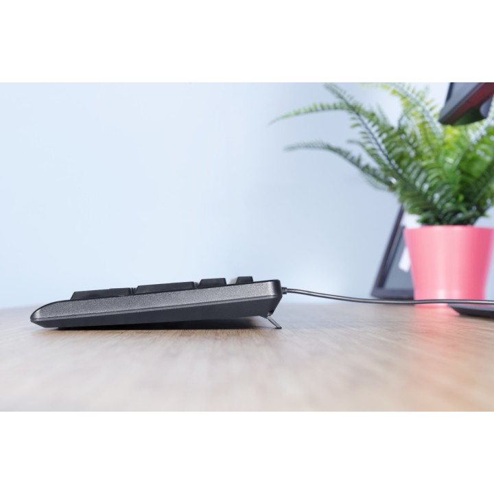Teclado TRUST Primo Diestro QWERTY Negro (23883)