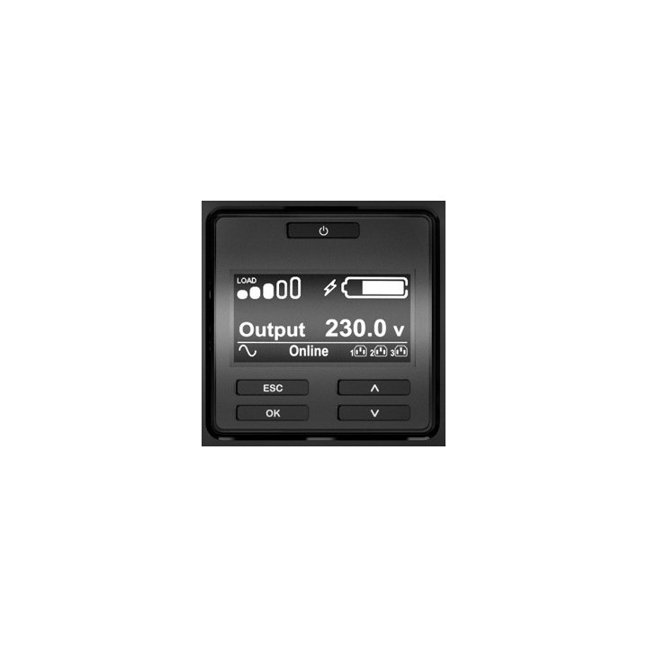 S.A.I. APC 1000VA 1000W Rack 2U Negra (SRT1000XLI)