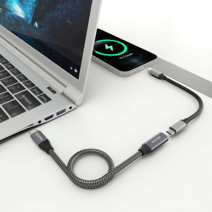 Cable AISENS USB-C/M a USB-C/H 1.5m Gris (A107-0761)
