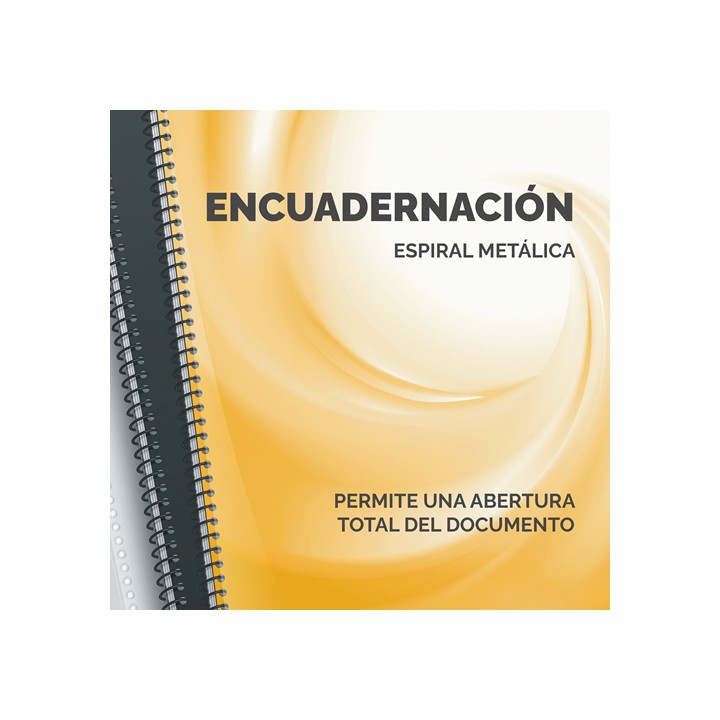 Encuadernadora de Espiral Fellowes Metal 100 (0030102)