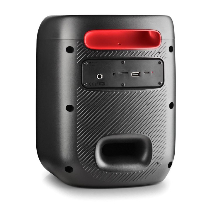 Altavoz NGS LED 80W TWS BT/USB/Aux Negro (WILDSWAGGO)