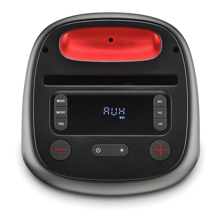 Altavoz NGS LED 80W TWS BT/USB/Aux Negro (WILDSWAGGO)