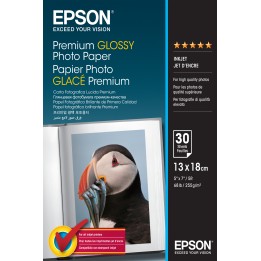 Papel Epson Premium Photo 13x18cm 30hojas (C13S042154)