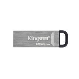 Pendrive Kingston 256Gb USB-A 3.0 Plata (DTKN/256GB)