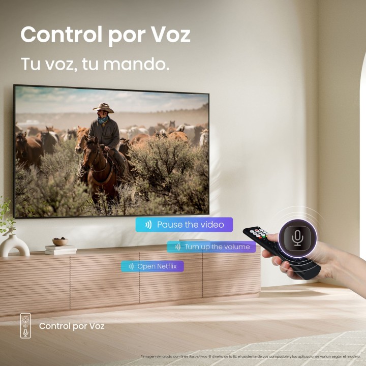 TV Hisense A6Q 65" 4K UHD WiFi Smart TV Negro (65A6Q )