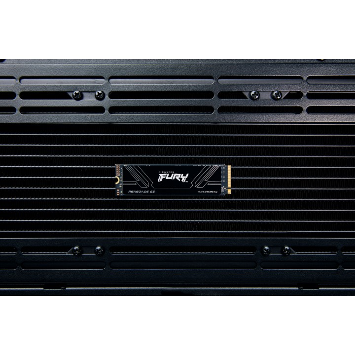 SSD Kingston FURY Renegade G5 4Tb M.2 NVMe (SFYR2S/4T0)