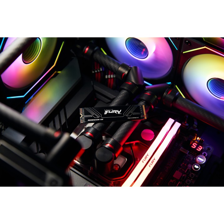 SSD Kingston FURY Renegade G5 4Tb M.2 NVMe (SFYR2S/4T0)