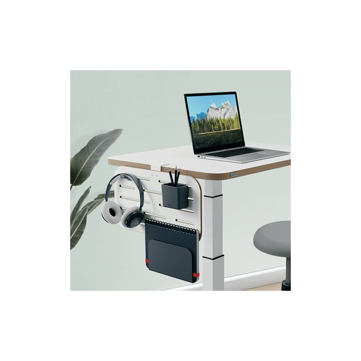 Organizador de Escritorio Leitz 42x25cm (6548-00-00)