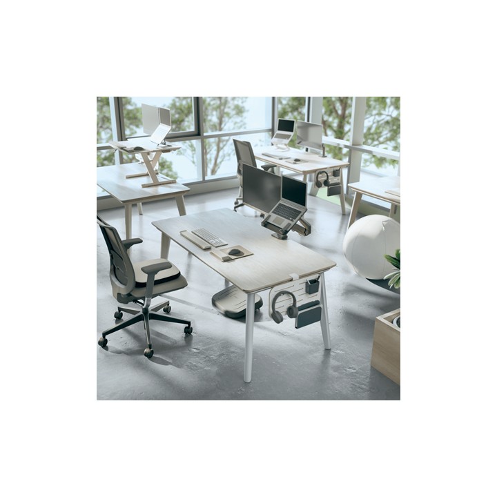 Organizador de Escritorio Leitz 42x25cm (6548-00-00)