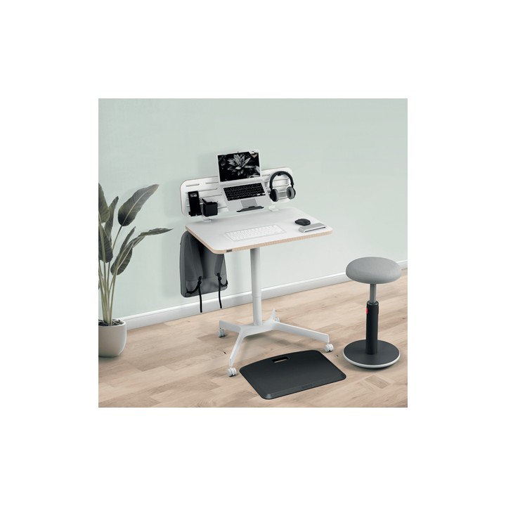 Organizador de Escritorio Leitz 42x25cm (6548-00-00)