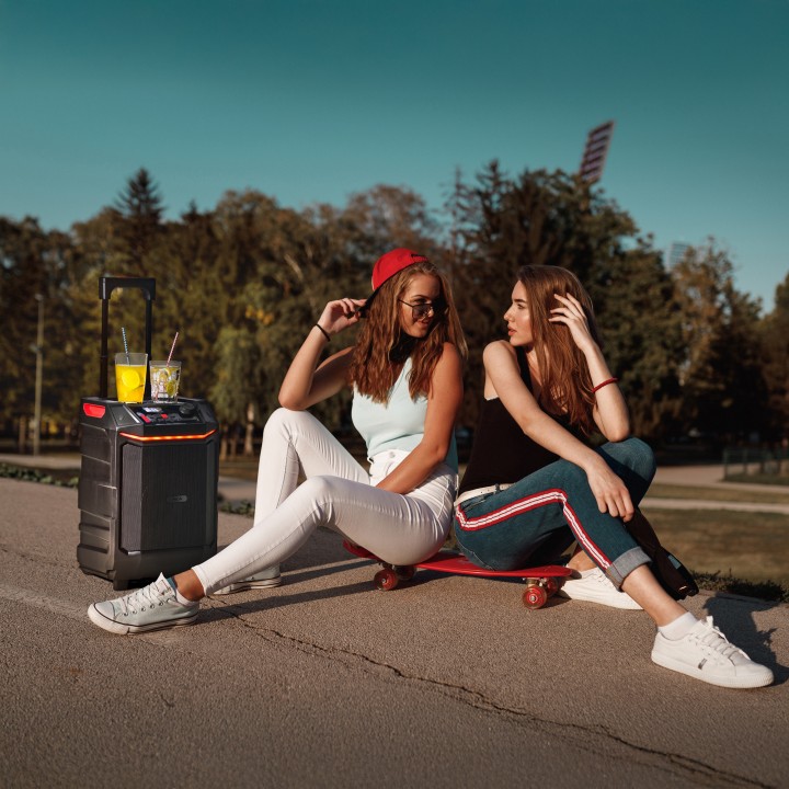 Altavoz Portátil NGS 300W BT/USB/AUX Negro (WILDBASH)