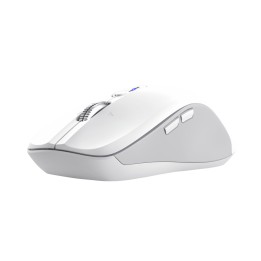 Ratón Trust Ferro RF Wireless BT 3200dp Blanco (025674)