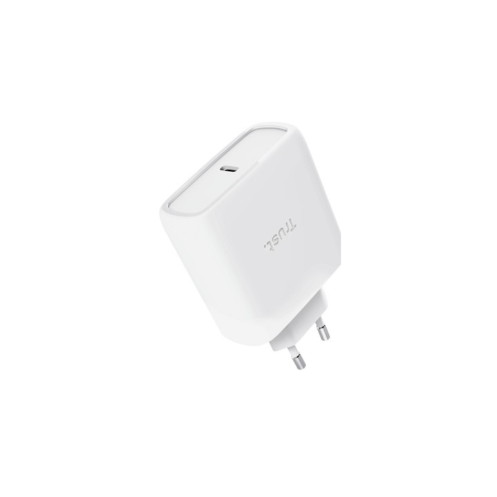 Cargador Trust Maxo GaN 65W 1xUSB-C Cable 2m (25524)