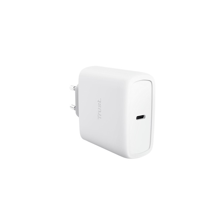 Cargador Trust Maxo GaN 65W 1xUSB-C Cable 2m (25524)