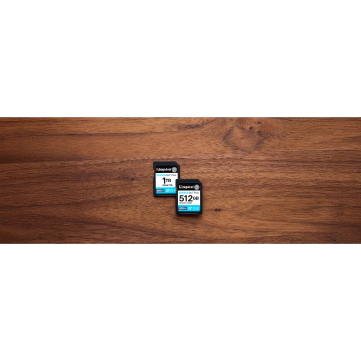 Kingston SDXC Canvas Go Plus 1Tb Gen4 (SDG4/1TB)