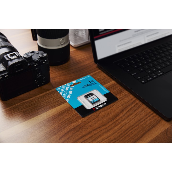 Kingston SDXC Canvas Go Plus 1Tb Gen4 (SDG4/1TB)