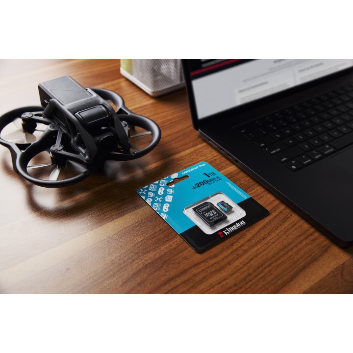 Kingston SDXC Canvas Go Plus 1Tb Gen4 (SDG4/1TB)