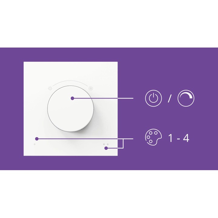 Interruptor Giratorio Philips WIZ Wifi (929003792301)