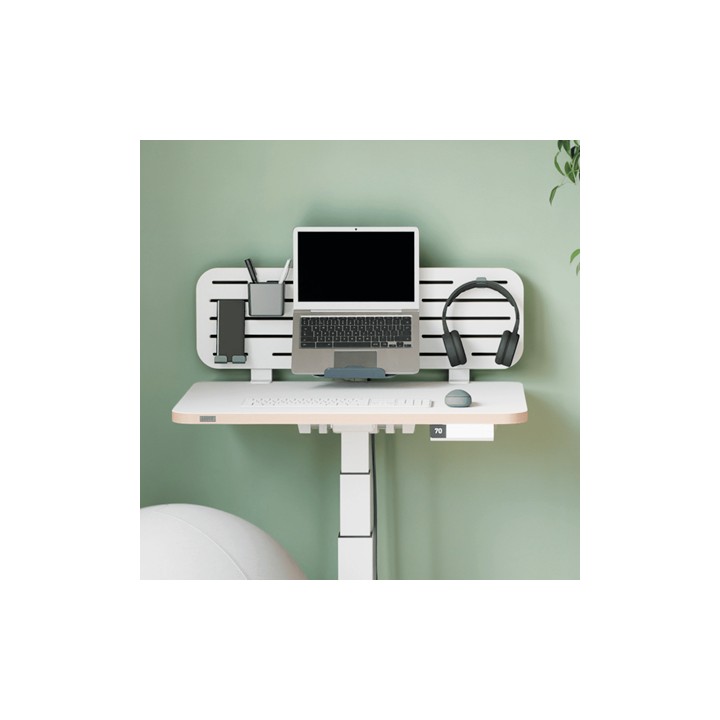 Organizador Escritorio Leitz con Soporte (6549-00-00)