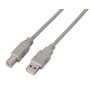 Cable AISENS USB-A/M a USB-B/M 1m Beige (A101-0001)