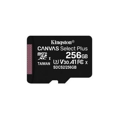 Kingston Micro SDXC Plus 256Gb C10 + Adap (SDCS2/256GB)