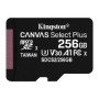 Kingston Micro SDXC Plus 256Gb C10 + Adap (SDCS2/256GB)