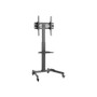 Soporte Suelo EQUIP 32"-55" 35Kg con Ruedas (EQ650607)