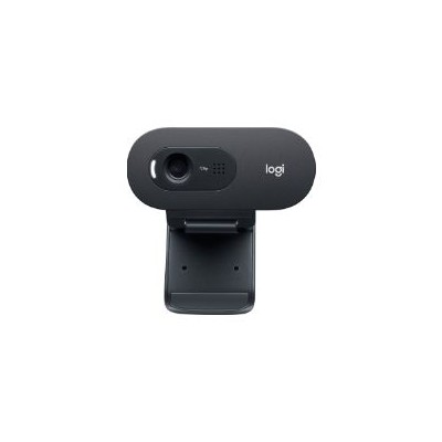 WebCam LOGITECH C505E HD 720p Micro Negra (960-001372)