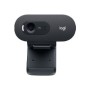 WebCam LOGITECH C505E HD 720p Micro Negra (960-001372)