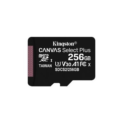 Kingston Micro SDXC Canvas Plus 256Gb (SDCS2/256GBSP)