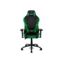 Silla Gaming Drift DR250 Negro/Verde (DR250G)