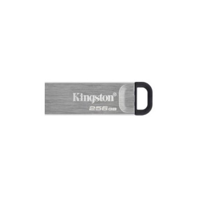 Pendrive Kingston 256Gb USB-A 3.0 Plata (DTKN/256GB)