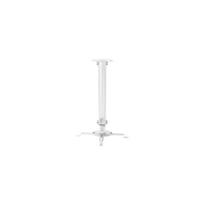 Soporte AISENS Techo Extensible Blanco (CP04TSRE-133)