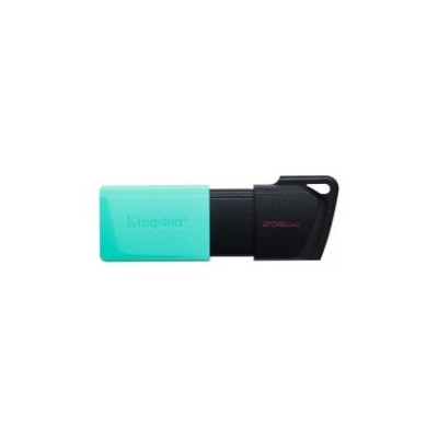 Pendrive Kingston 256Gb USB-A 3.1 Turquesa (DTXM/256GB)