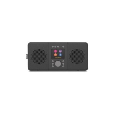 Radio Portátil Pure Elan Connect+ BT Negro (248484)