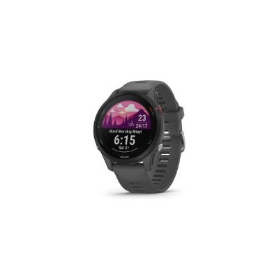 Smartwatch Garmin Forerunner 255 Gris (010-02641-10)