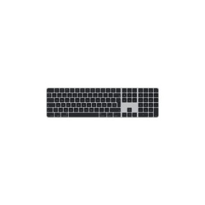 Teclado Apple Magic USB Bluetooth Negro/Plata(MMMR3Y/A)