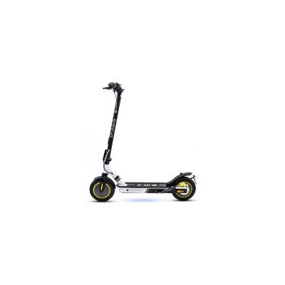 Patinete SmartGyro Z-One 400W 10" Gris (SG27-393)